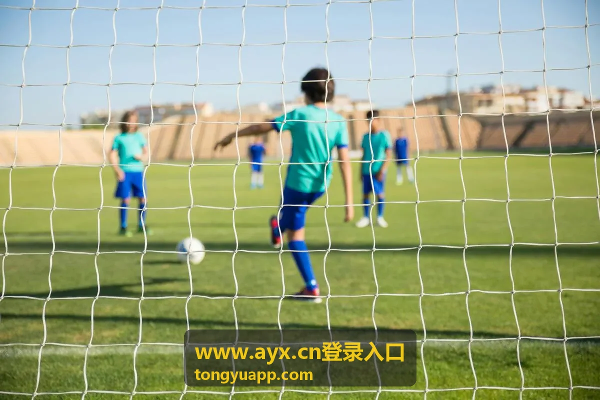 AYX 登录入口密码强度设置参考